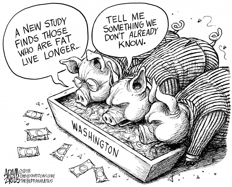 Washington Pigs
